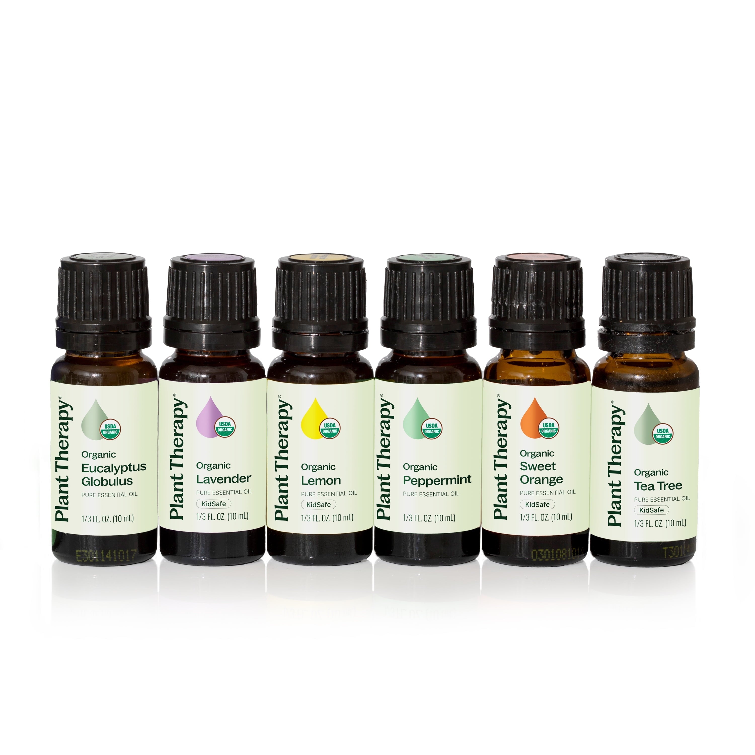 Organic Aromatherapy Oil Set — Top 6 Certified Essentials